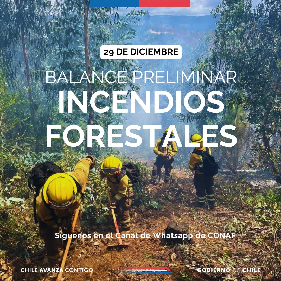 CONAF - Corporación Nacional Forestal tweet media