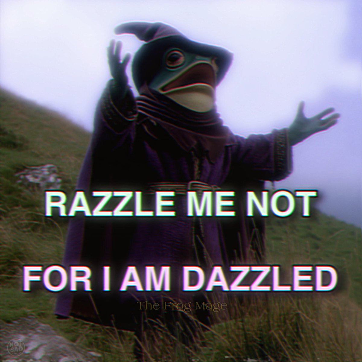 The Frog Mage tweet media