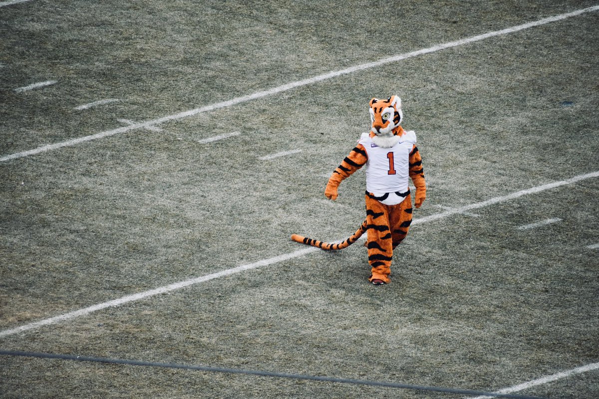 Matthew Bruno tweet media