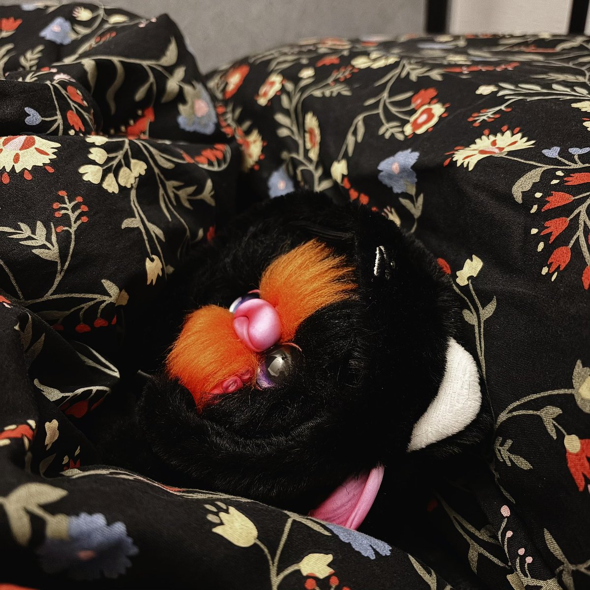 Foidoll-ふぉわどーる🧛‍♀️皆さまいつもありがとう🪄 (@foidoll