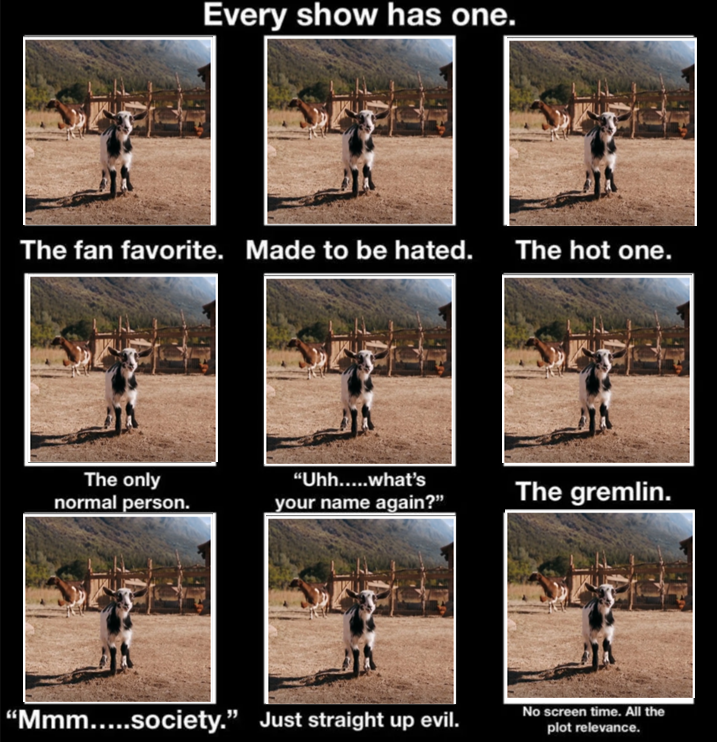 sweetseaslug's tweet image. 