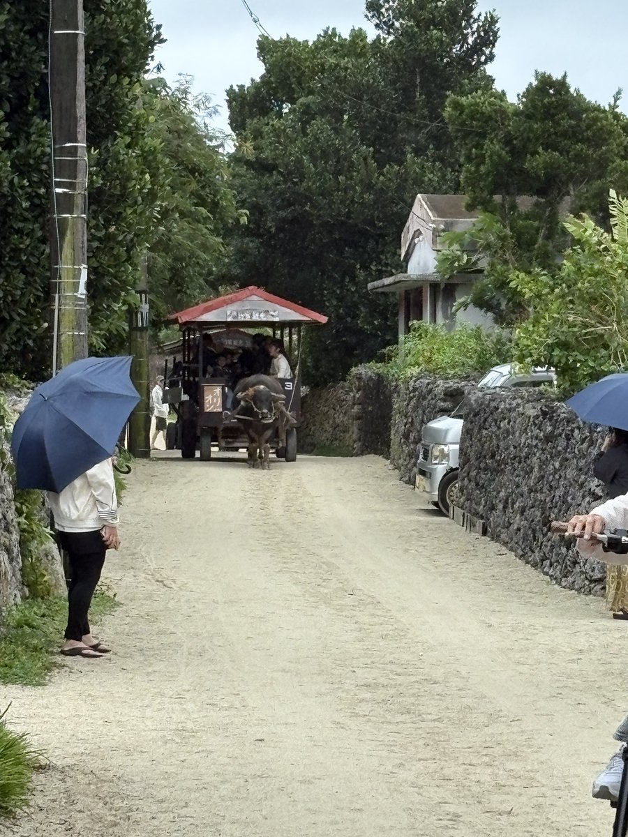 comchan0708's tweet image. 今年最後の三遠戦2連勝で、気分良く家族で石垣島旅行✈️です。
でも天気が悪い😭