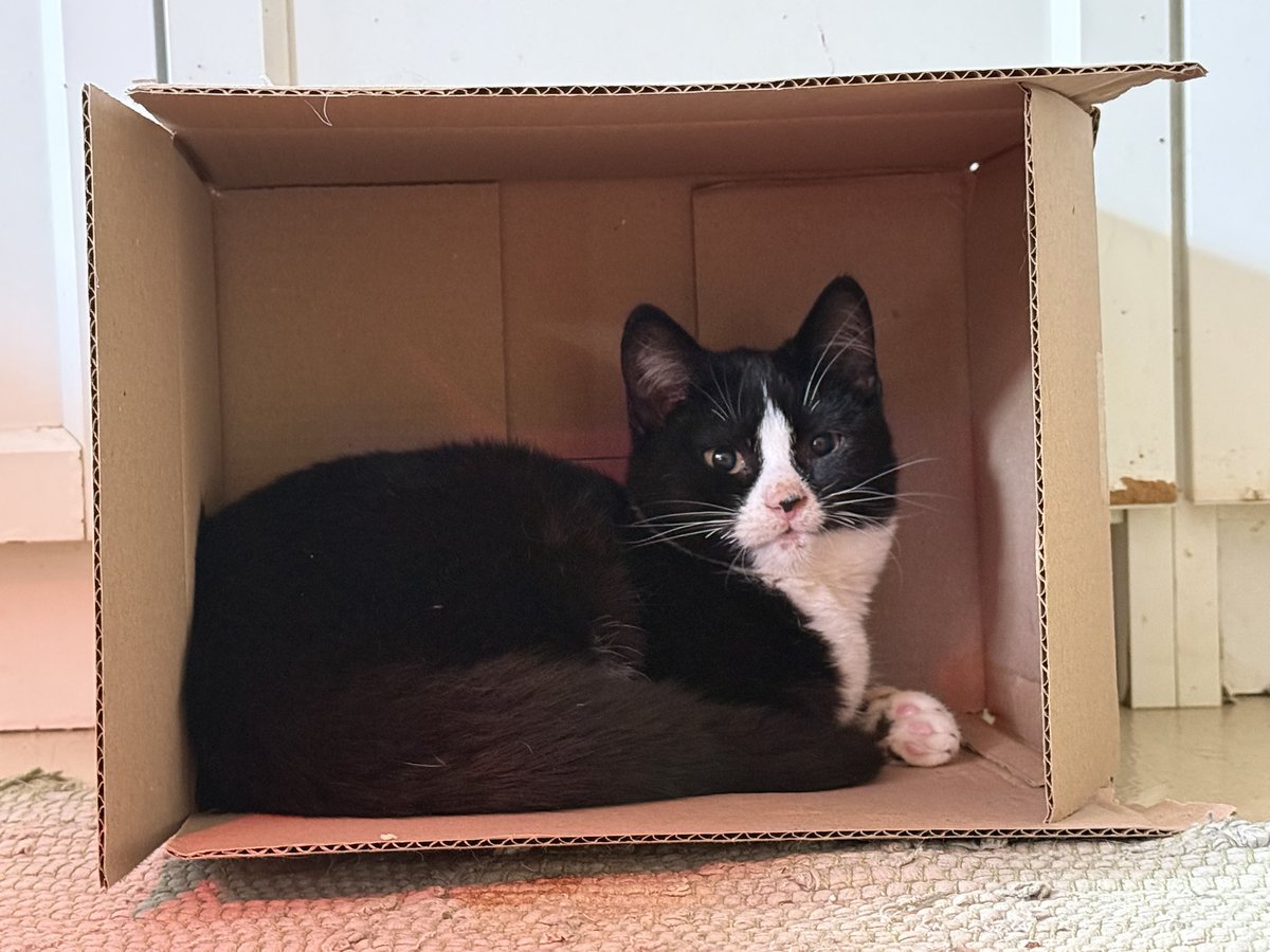 @Motochen 🇪🇺 ❤️ tweet media