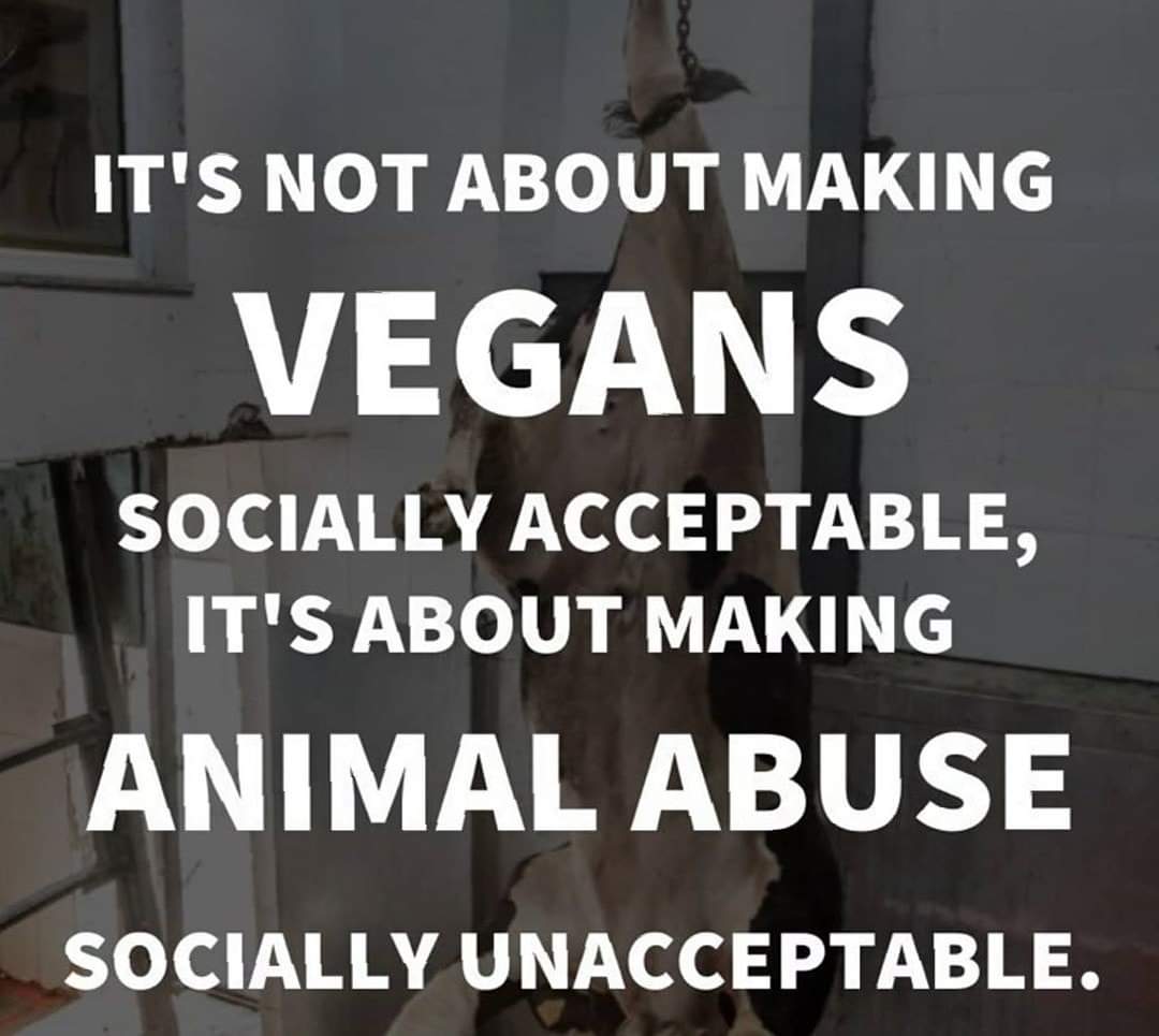 Herbiⓥore tweet media