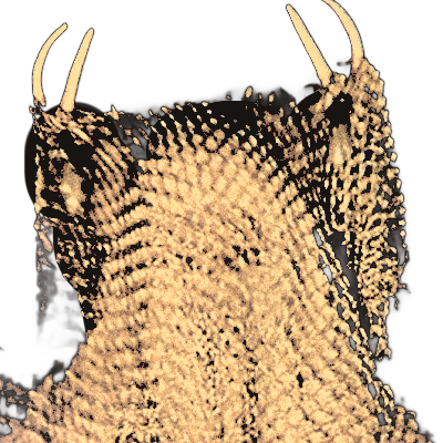 ordealrewritten's tweet image. 