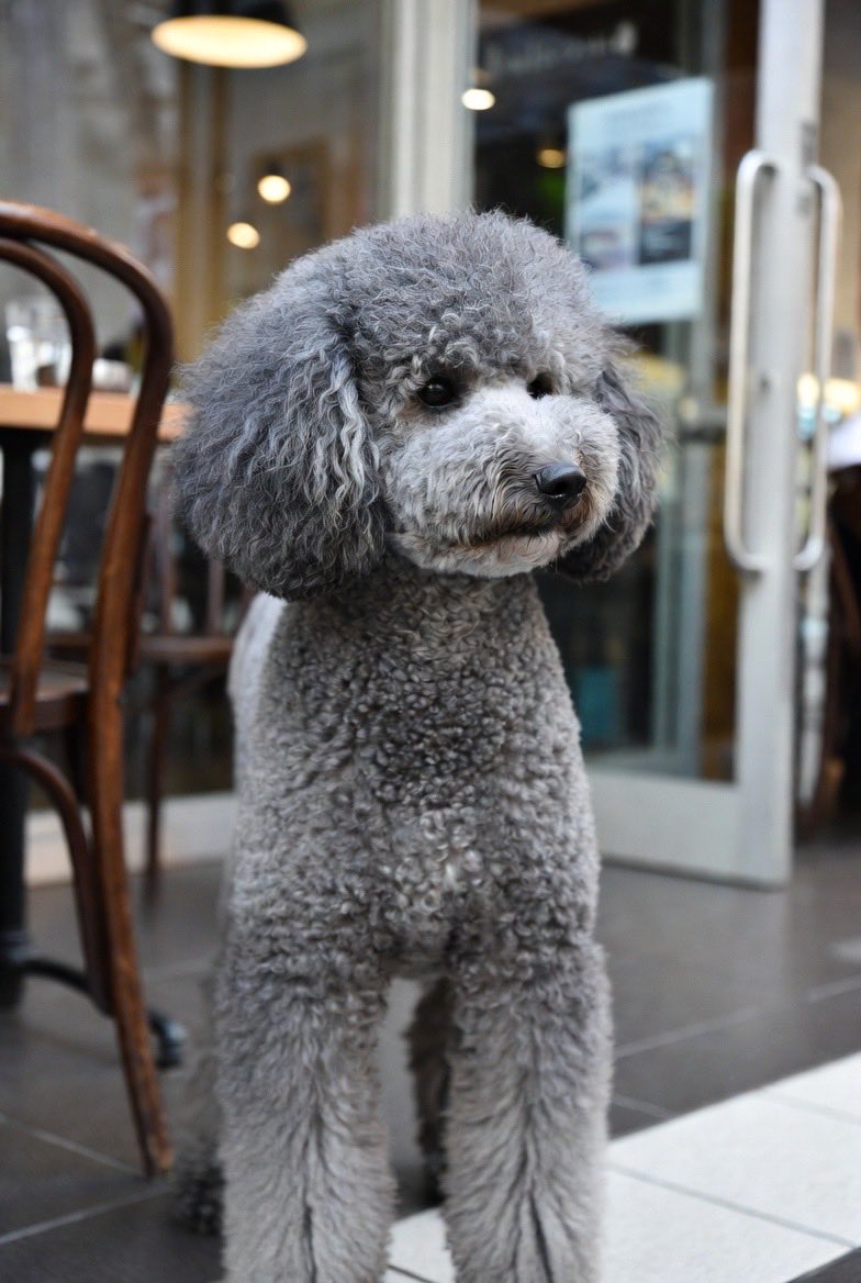 おすすめのフォロワーさんです✨ フォロー推奨です!! 𐅁𐀸𐋠𛰙᭜᭜