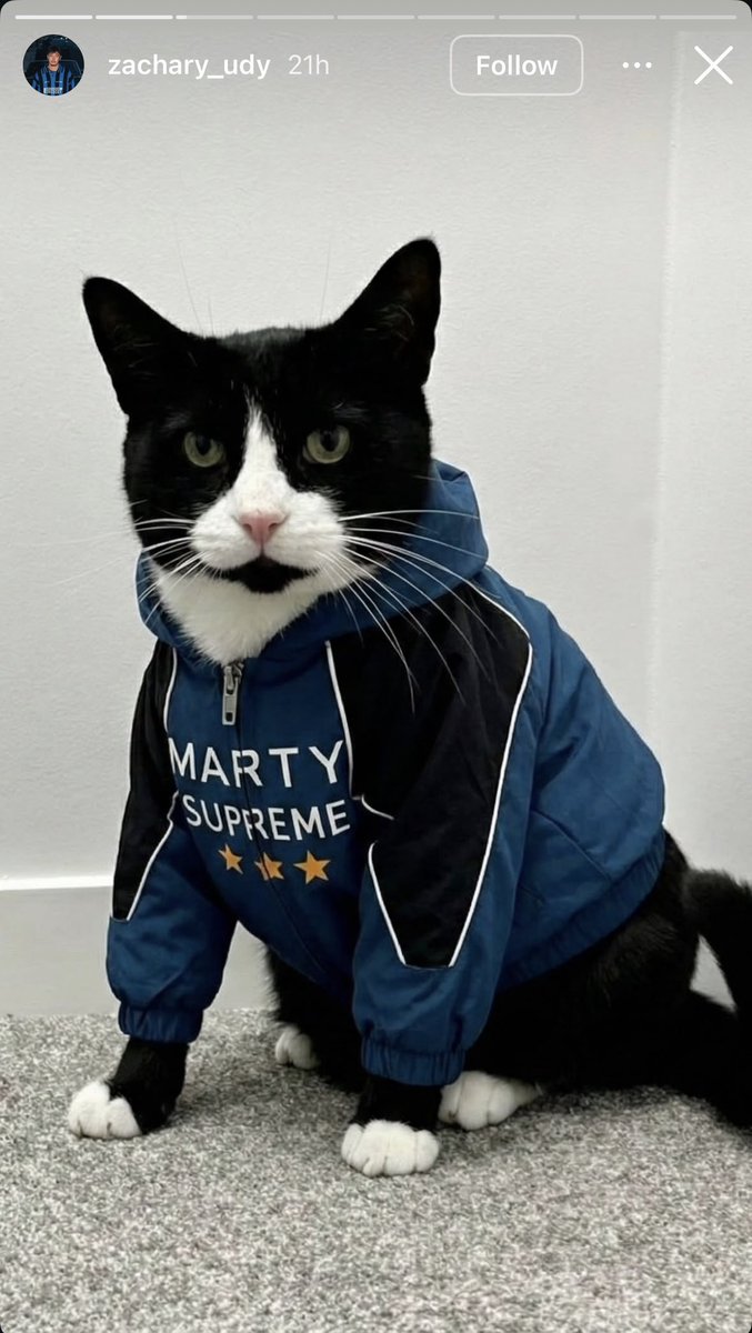 timoatreides's tweet image. they’re real cinephiles