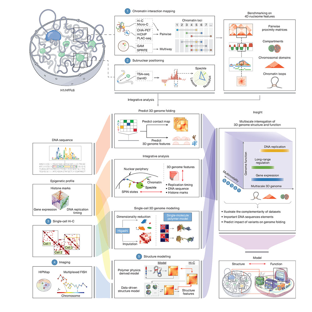Nature Portfolio tweet media