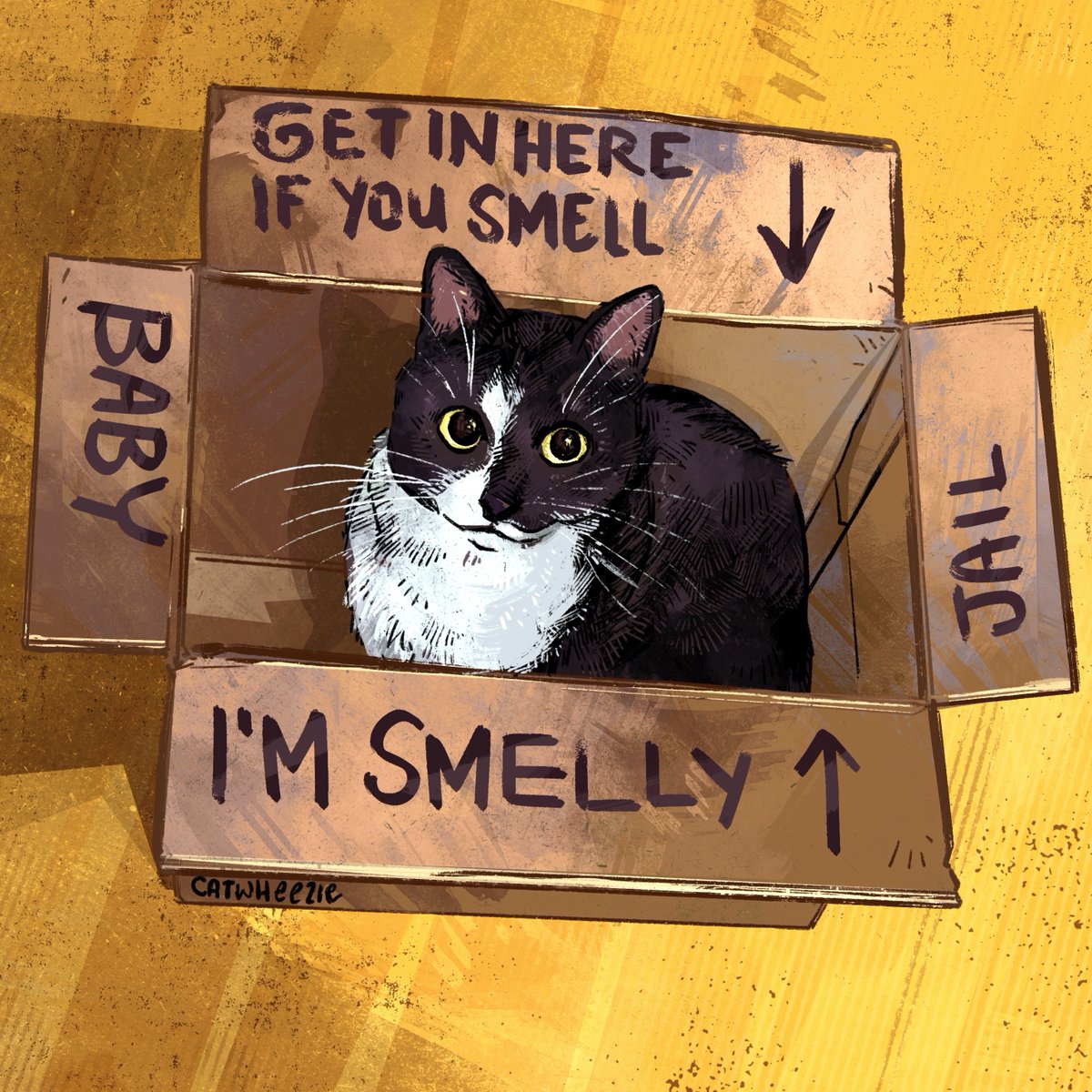 catwheezie's tweet image. stinky smelly kitty baby jail