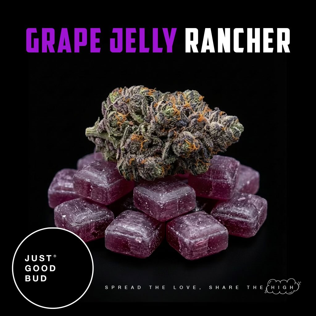 JustGoodBud tweet media