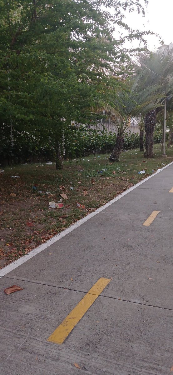 rudaoba's tweet photo. Señor alcalde @dumek_turbay todo esfuerzo por dejar el parque lineal del túnel de Crespo hermosamente iluminado se pierde con la cantidad de basuras que tiene , de quien es la responsabilidad? @ANI_Colombia @Pacaribe https://t.co/ZZSknlw6Fp