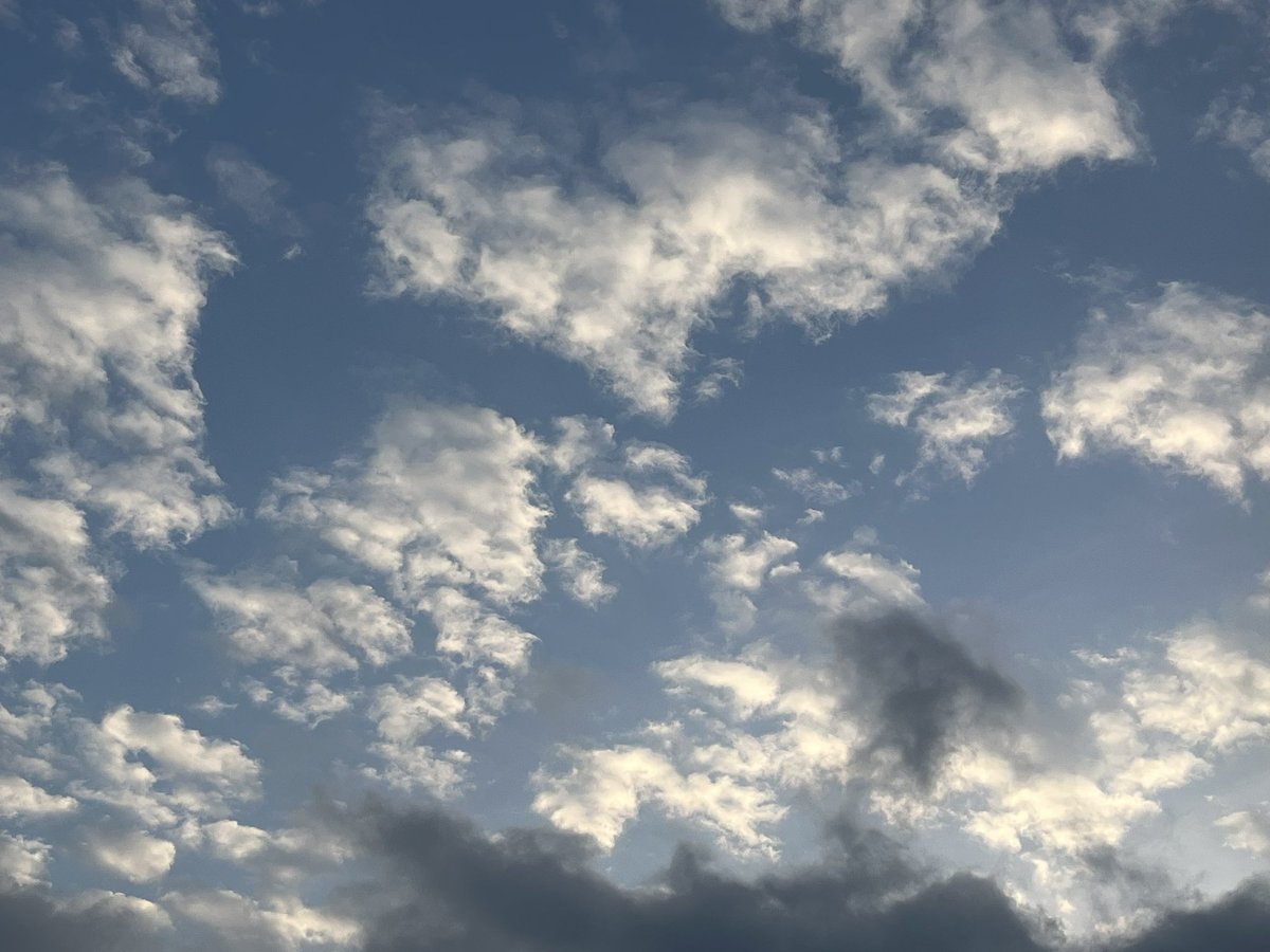 miyu＊① 🍹❤️