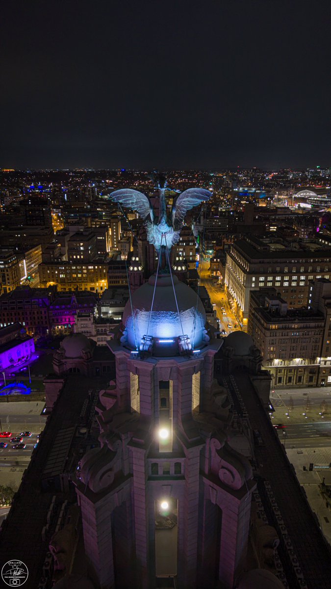 Paul Madden Photography tweet media