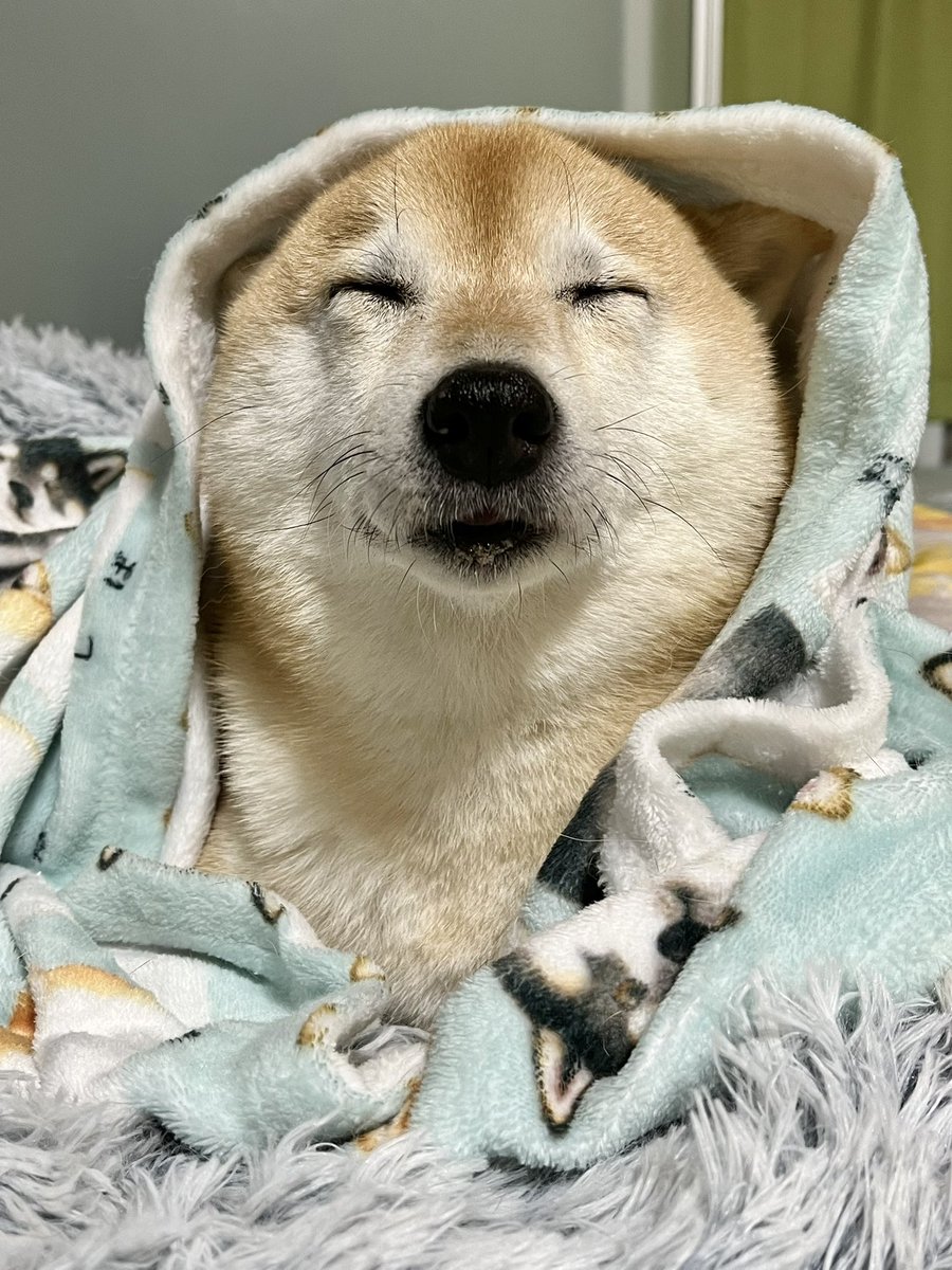 T.Katsumi (@ChinaObachan517) / Posts / X