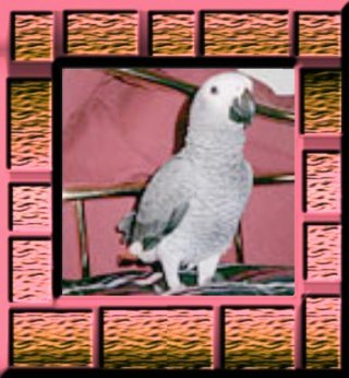 lfcfnj's tweet image. 