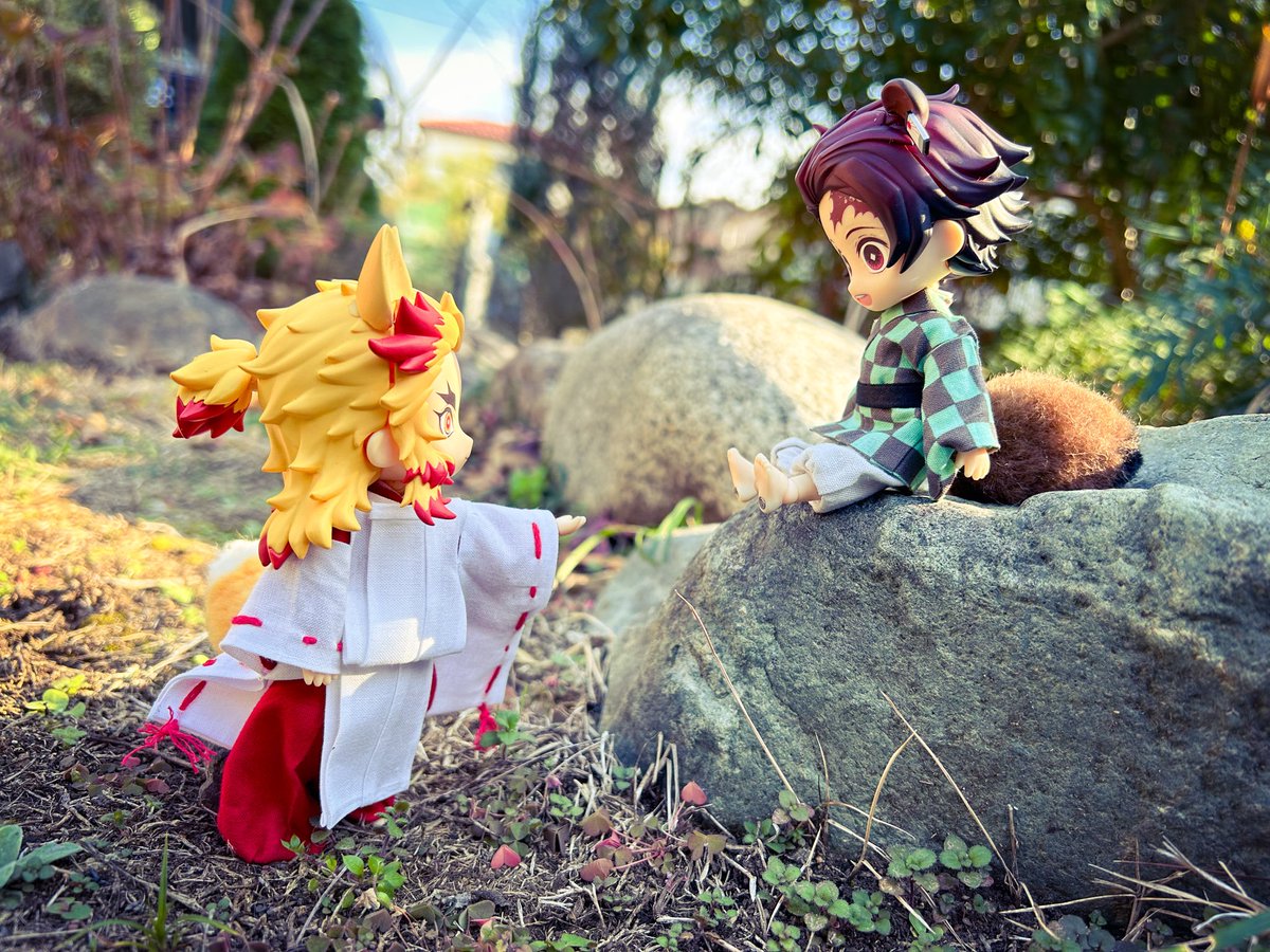 rokkacider's tweet image. うまれてまる二年
ボサボサになってきた尻尾もそろそろ作り直そうかな