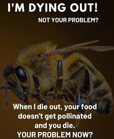 TommyTwoClubs's tweet image. 