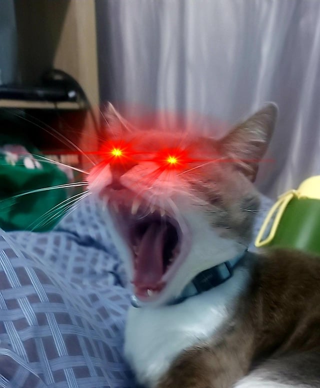 A lil doodle of <a href="/SoyS3BASTIA/">SoyS3BASTIAN</a> 's pet ting