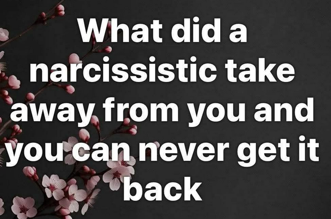 The Narcissist Box tweet media