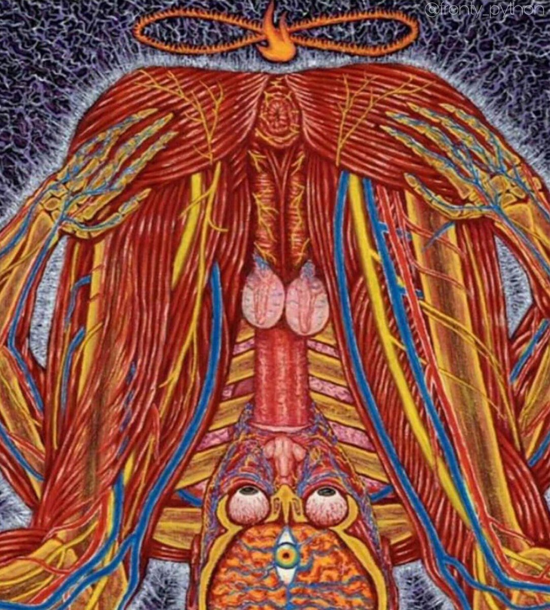 Kristi Yamaguccimane tweet media