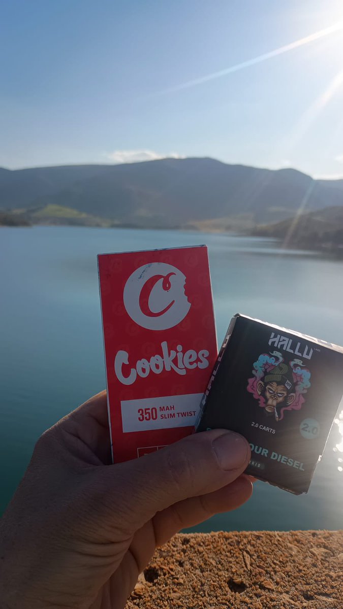 plugthc9's tweet image. Mídia do refil de THC

vem no certo que e so qualidade🤯

REFIL DE 2ML

R$ 230,00

CONSULTAR TX DE ENTREGA

refil de thc curitiba
Thc curitiba
Pod de thc
Canetinha de maconha
Refil canetinha de maconha
Corre em curitiba
Maconha em curitiba
Comprar maconha em curitiba