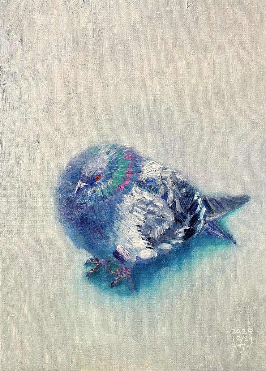 「鳩」
2025年
F4（33.3cm×24.2cm）
油彩、キャンバス