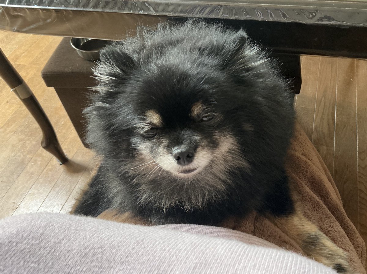 すずめ様ご確認ページ めめこ犬 (@szm8v8) on X