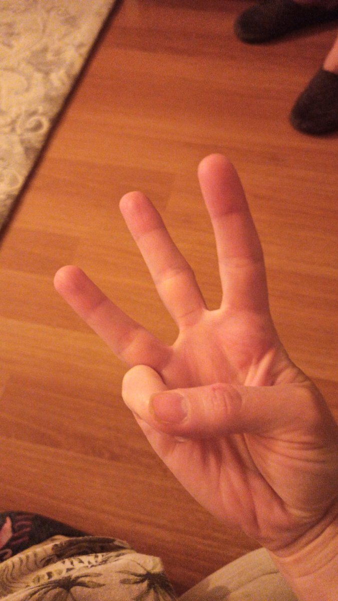 Timur Evren tweet media