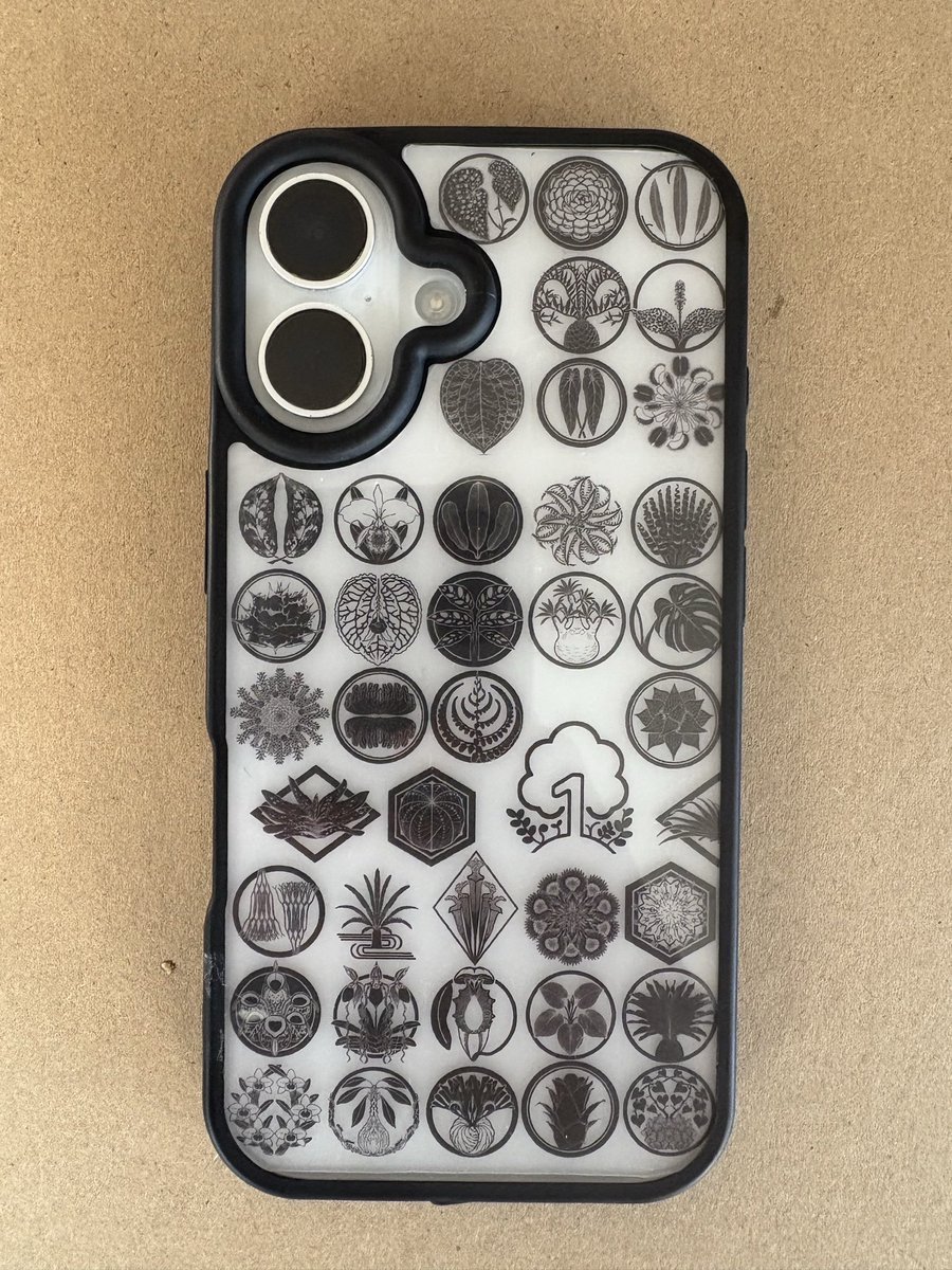 kaneta_y's tweet image. 年末の大掃除で天一のシールが出て来たので、スマホケースをデコレーションしてみました📱

スマホのサイズもあって全部のマークが貼れませんでしたが
良い感じに🪴

外のカバー汚れたら交換すれば良い様にしてみました✋