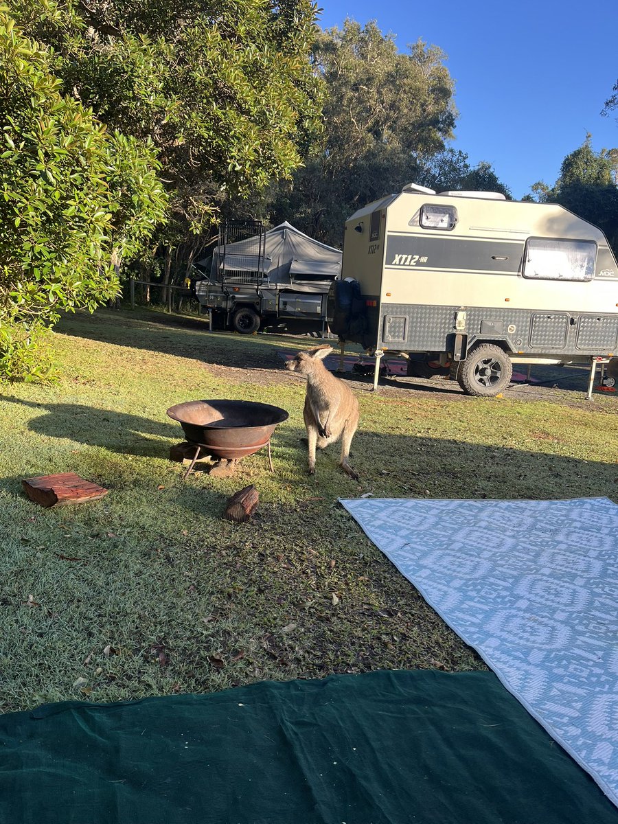 David Russell tweet media