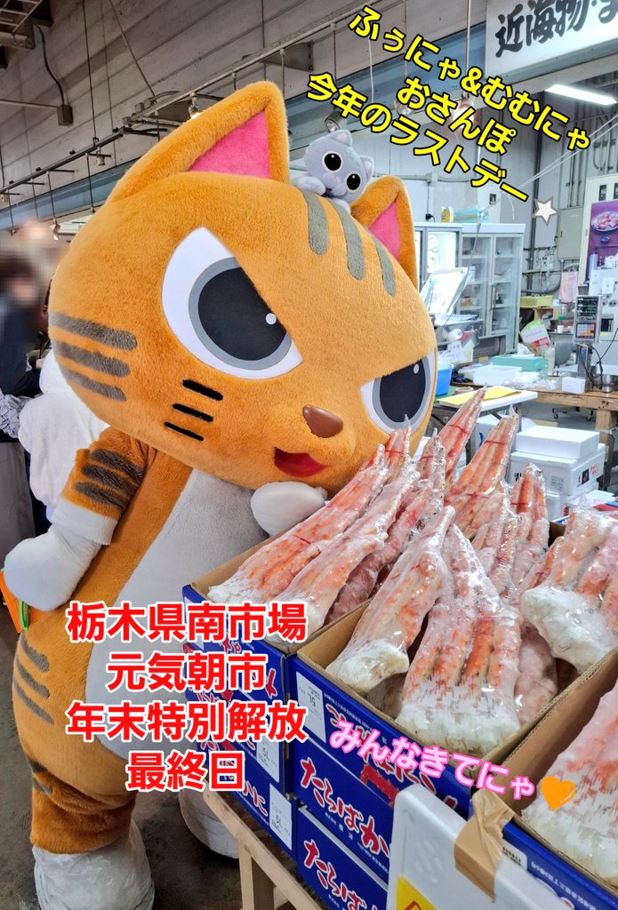 おはにゃ!! #栃木県南市場 #元気朝市 #年末特別解放 最終日⭐ ふぅにゃ