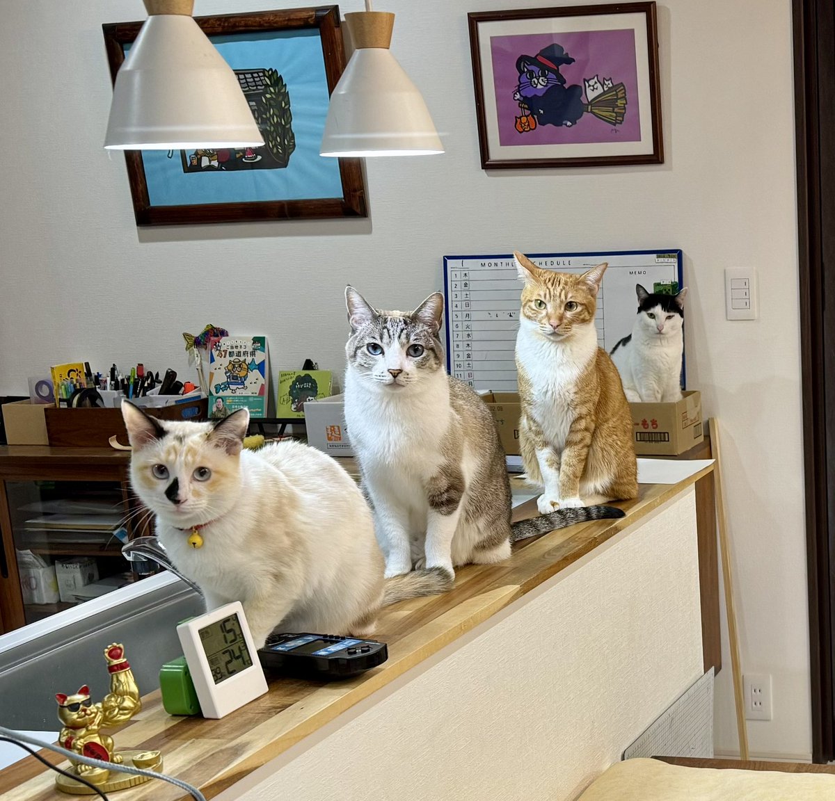 キッチンを見ると渋滞が発生していた