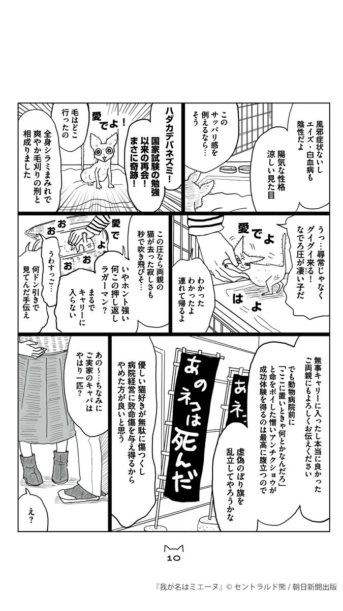 『我が名はミエーヌ』発売中🔔書店陳列祭り #我が書店のミエーヌ 開催中📣 tweet media
