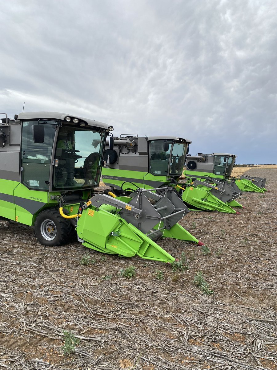 InterGrain tweet media