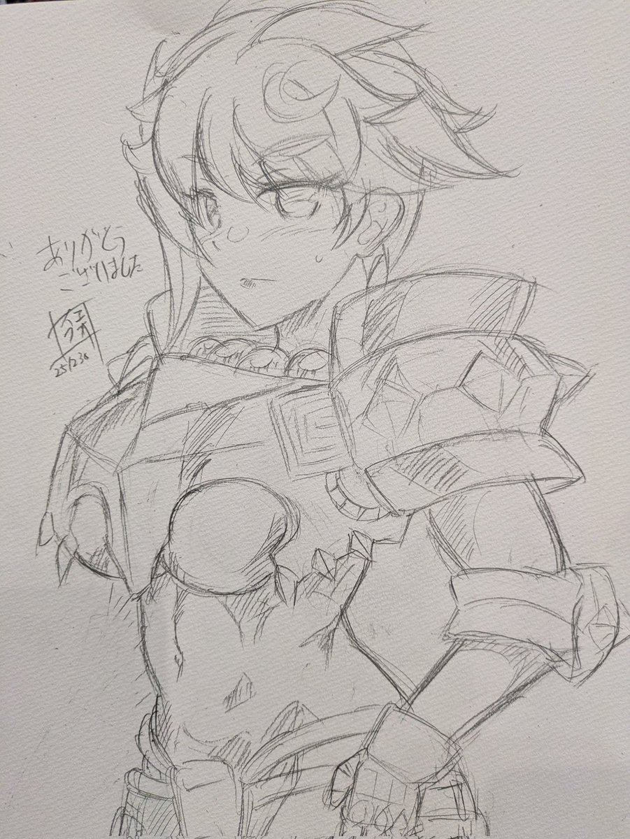 スケブのコス雲龍 