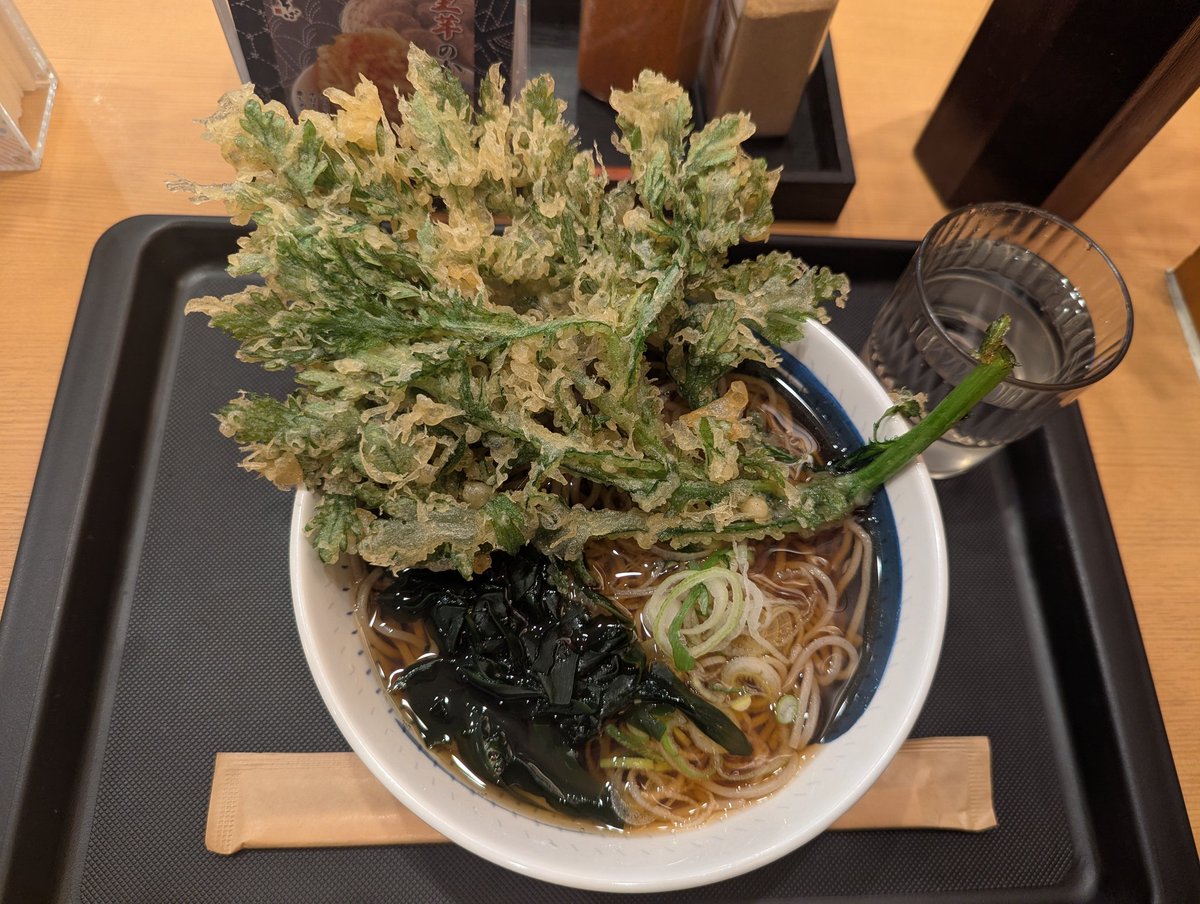 kentacky114's tweet photo. 今年ラストしぶそばの春菊天ぷら蕎麦！

この後は麻雀→夜ワンチャングッディの流れ。
明日は帰省予定🖐️ https://t.co/BXBcvba1q9