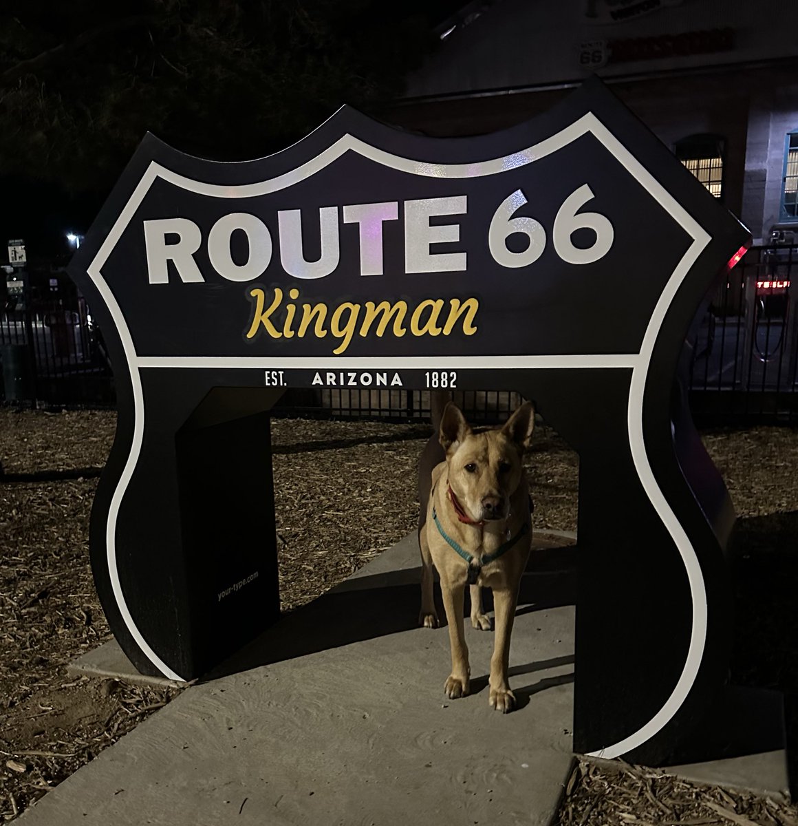 SeismoSue's tweet image. Get your kicks
#Route66