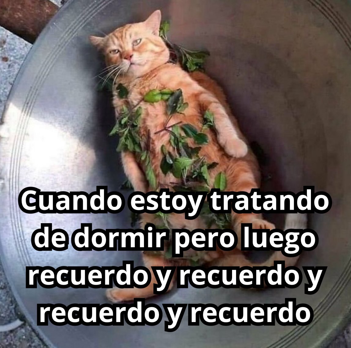 emociones amarillas (@conoloracigarro) on Twitter photo 