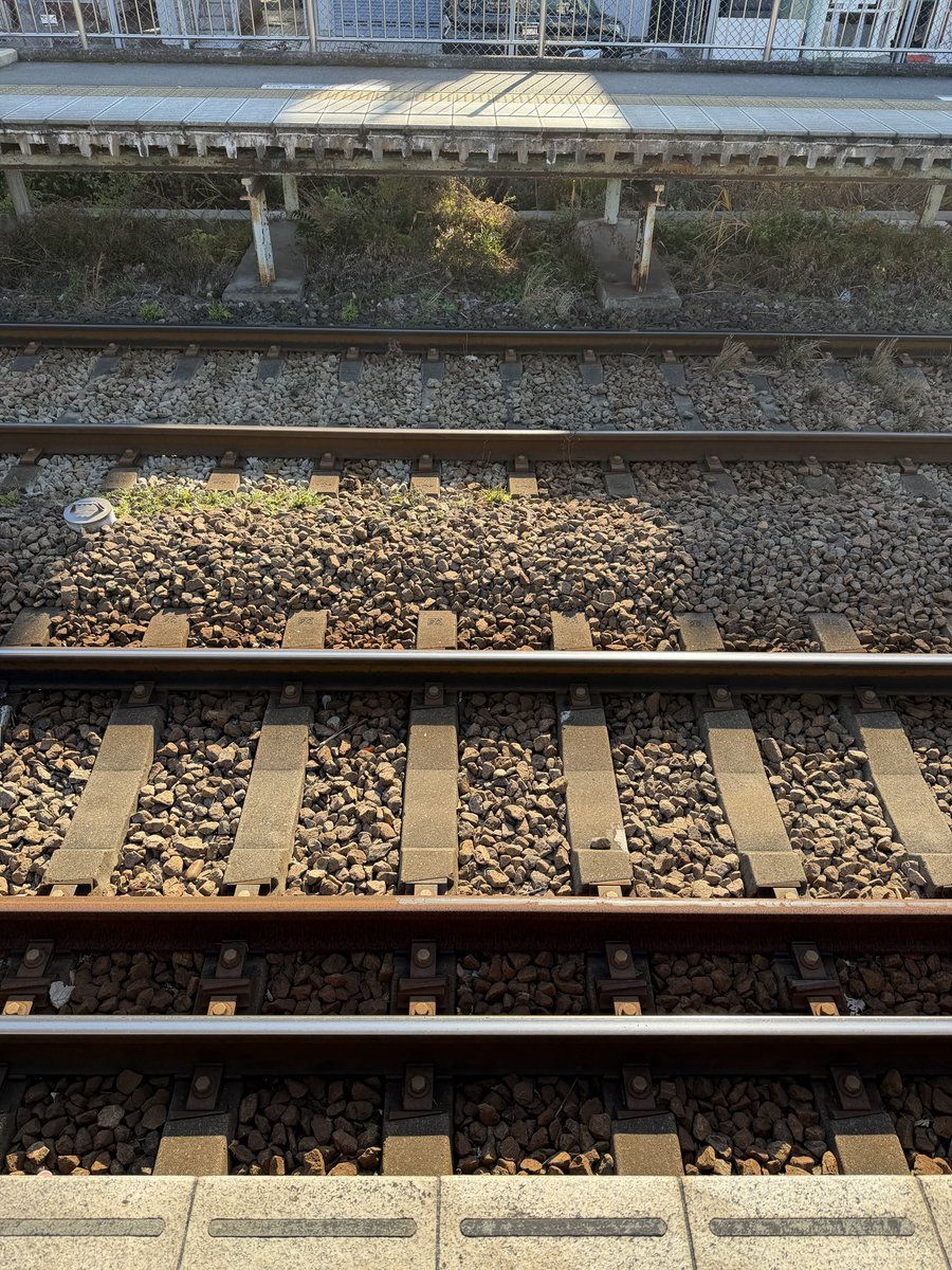 これ、わかる人🖐️