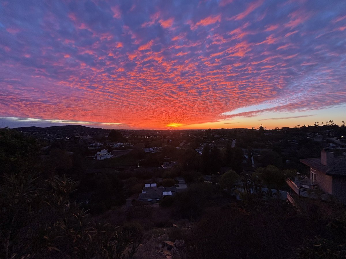 Dr Pamela Luster #EquityAvengers #RealCollegePrez tweet media