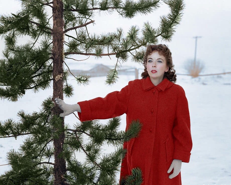 #IdaLupino in winter