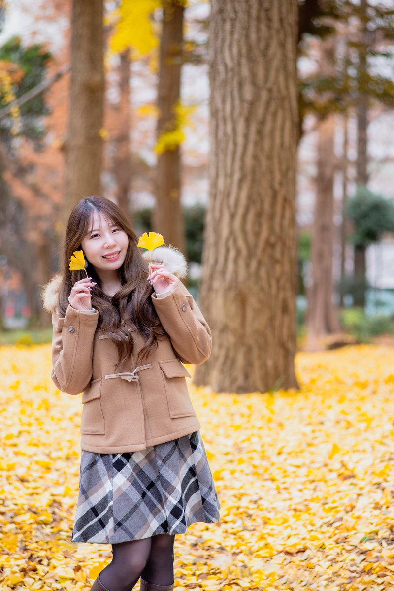 黄色の絨毯💛⭐️

もえ🎀さん <a href="/Tinker_Bell_z/">もえ🎀ハートフル撮影会🎀25日スタジオ</a>