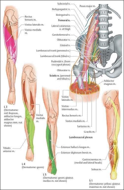 Abdullah Sulieman Terkawi, MD, MS(Epi) tweet media