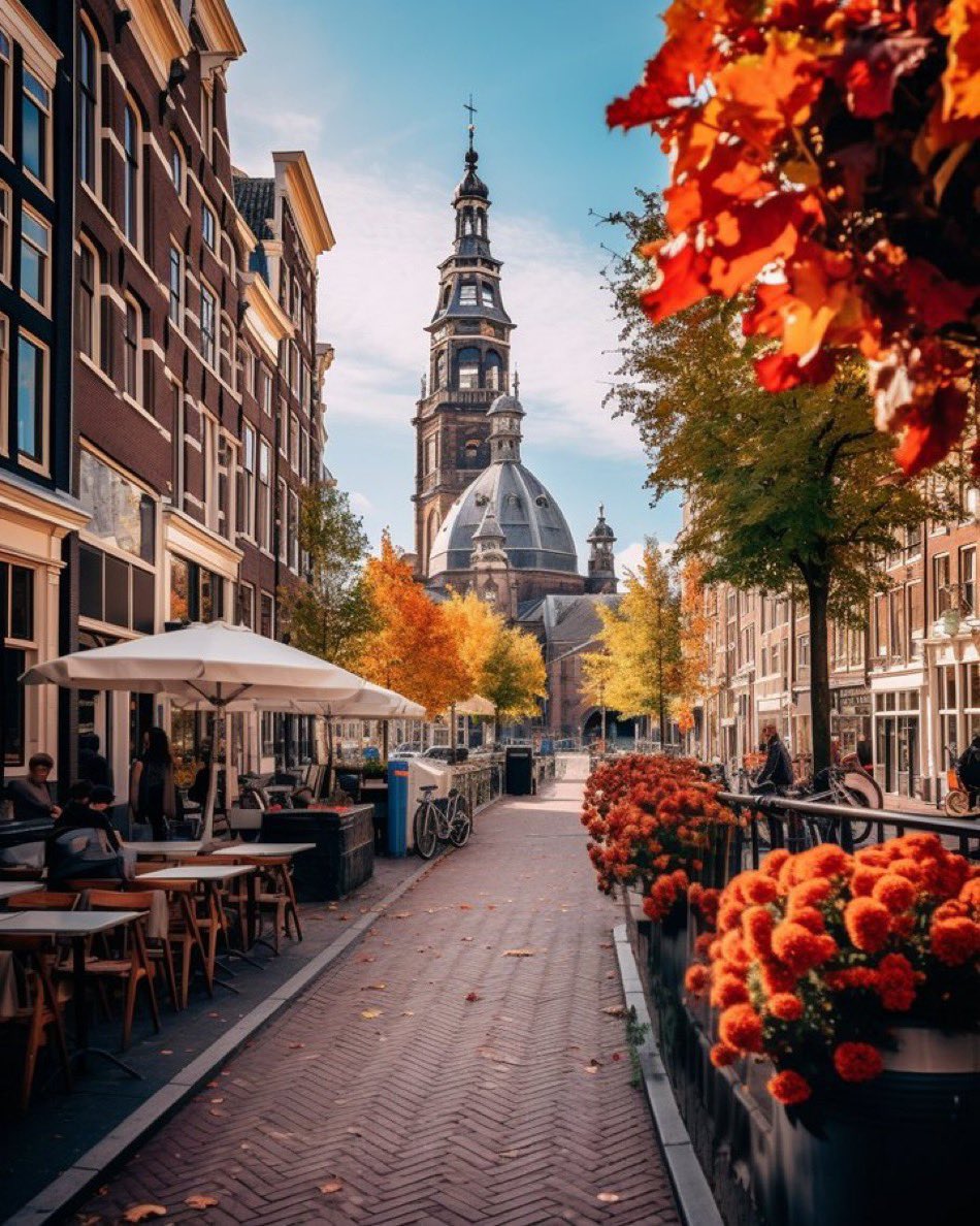 Dutch 🇳🇱🧡 tweet media
