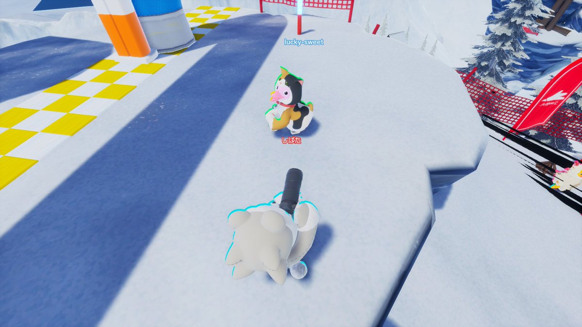 shibata4453's tweet image. 可愛らしいlucky sweetさんが撮れました
#FaaastPenguin