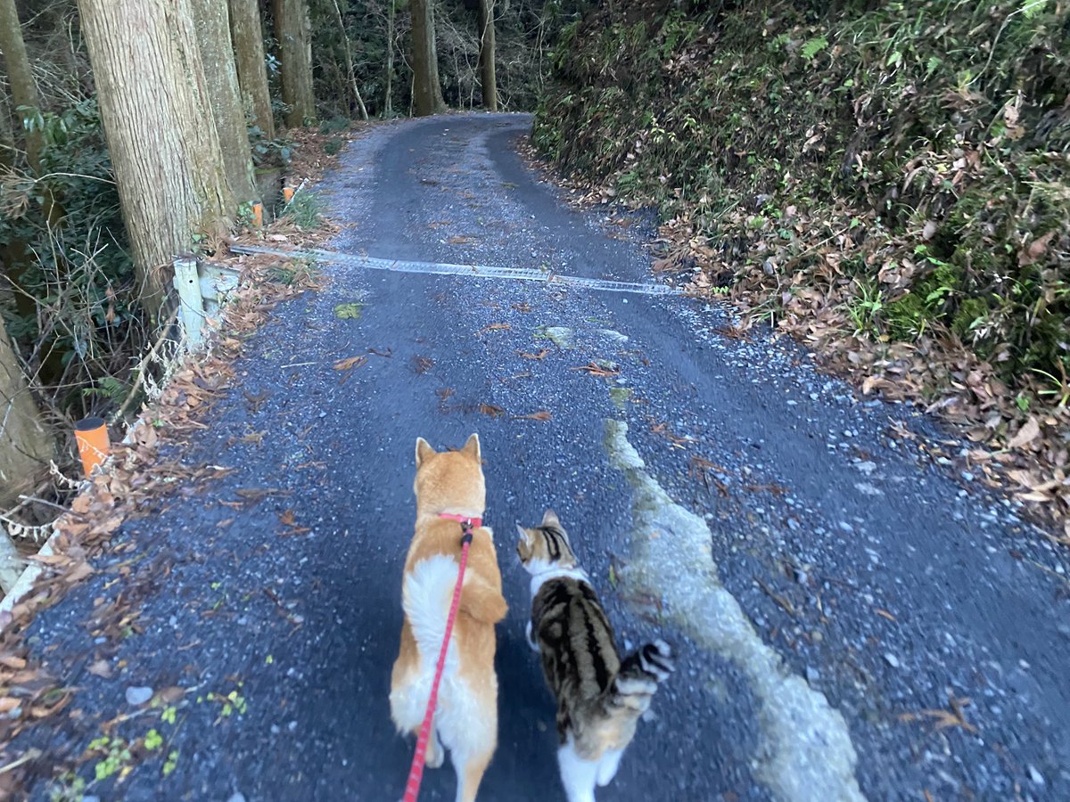 舟ヶ作ぶどう園 (@funegasaku) / Posts / X