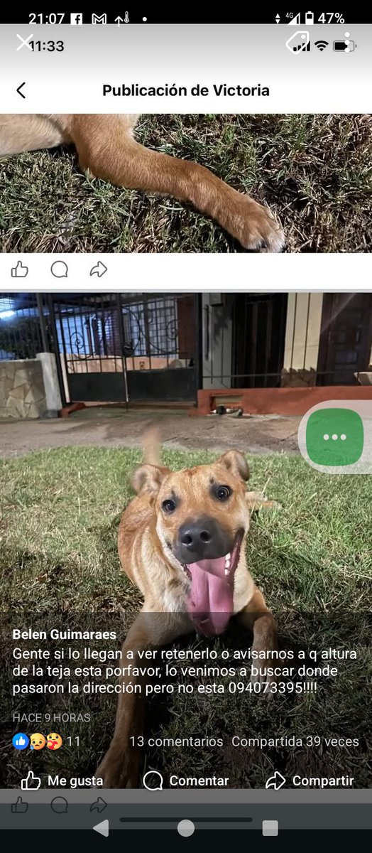 Ans (@anaalfo1000) on Twitter photo 