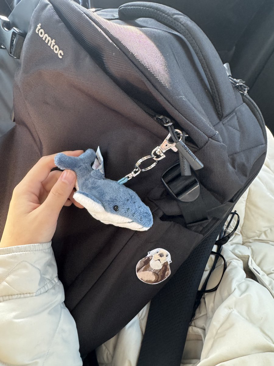 伊織もえ tweet media