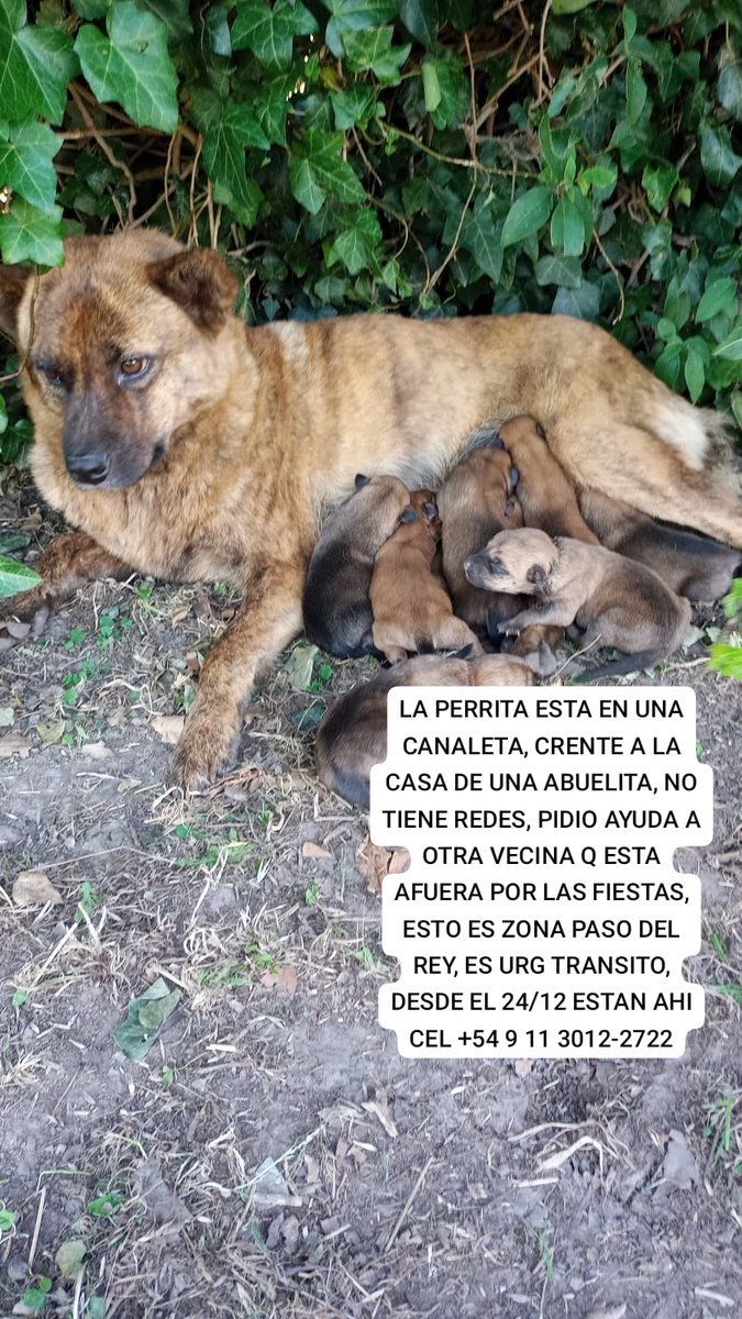 Un granito cada uno!! Y lo logramos!