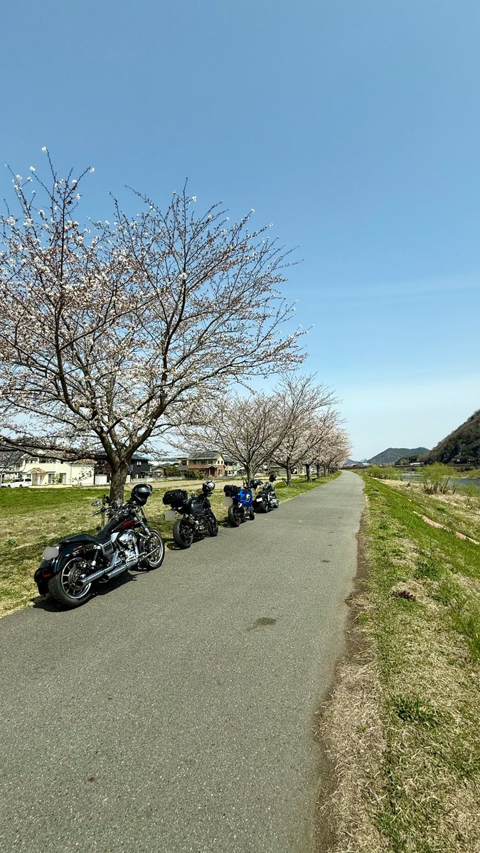 FXDF_FATBOB_BOB's tweet image. 皆さま
いつも有難うございます
🙇🐶🐶
また、春夏秋冬
共に走って頂いた方々
有難うございました🙇🏍️

辛い悲しい思いを
された方々も
来年は笑顔溢れる良い年に
なりますよう願っています🙏😊